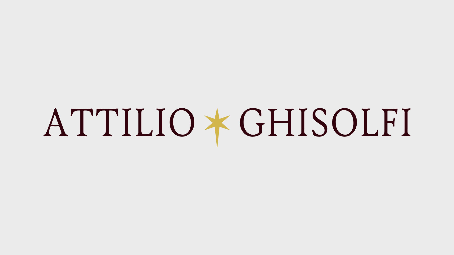 (image for) ATTILIO GHISOLFI BAROLO BRICCO VISETTE 2003